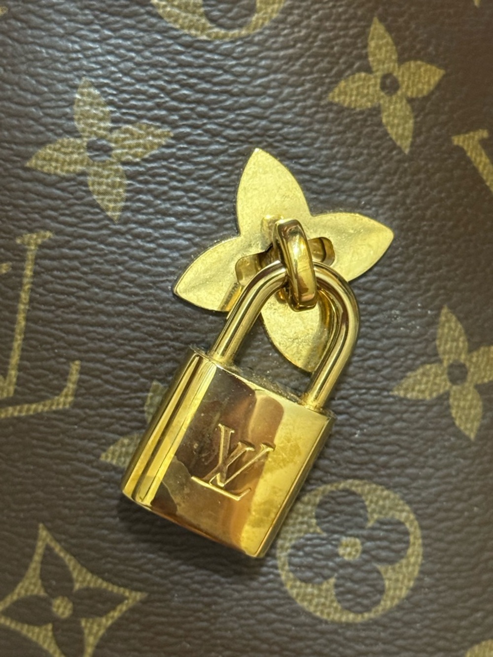 Louis Vuitton Monogram Canvas Hobo Shoulder Bag in Brown and Tan - Picture 6 of 8